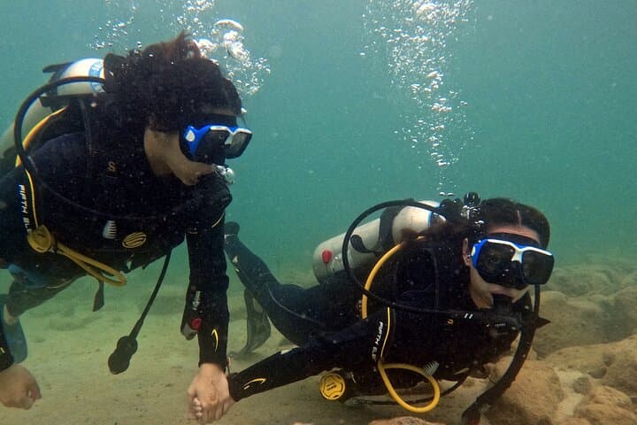 Discovery Scuba Diving at La Mer Beach Dubai: Beginner 3‑Hour Dive with Turtles photo 4