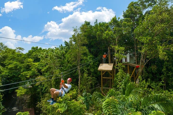 Harrison's Cave Ultimate Adventure Pass: Tram, Ziplines & Mount Gay Rum Tasting