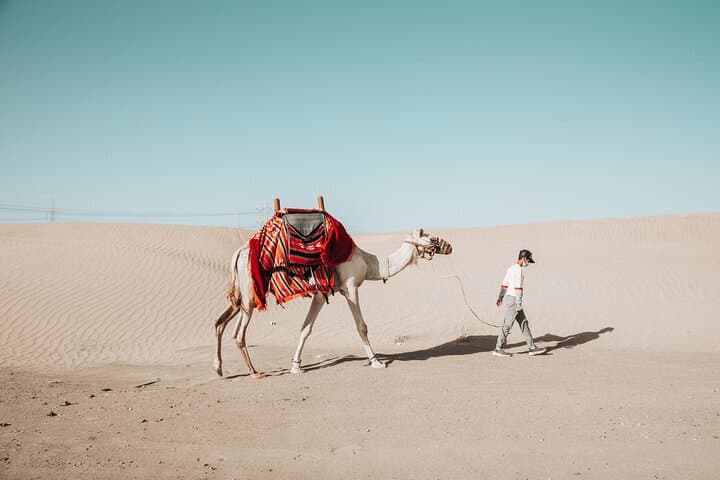 Desert Quad Bike Tour in Jeddah — Sunset Dune Rides & Sandboarding photo 3