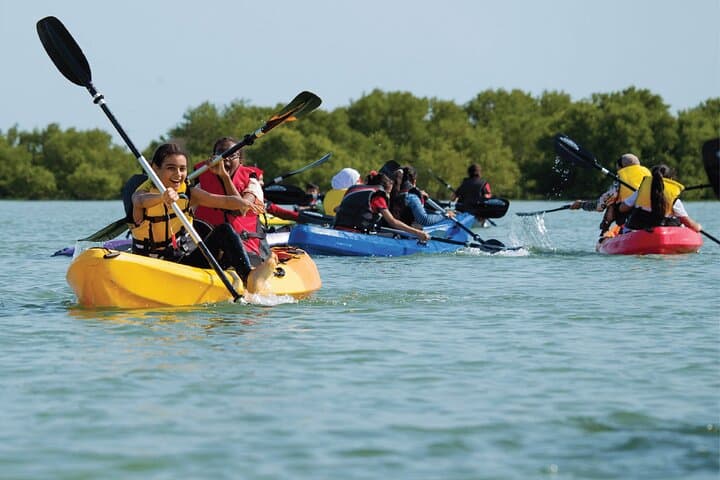 Purple Island Mangroves Kayaking — 4-Hour Al Thakhira Eco-Trip from Doha