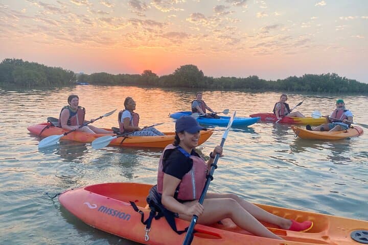 Purple Island Mangroves Kayaking — 4-Hour Al Thakhira Eco-Trip from Doha photo 4