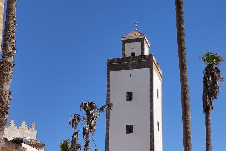 Essaouira Day Trip from Marrakech: Coastal City Tour & Argan Cooperatives photo 5