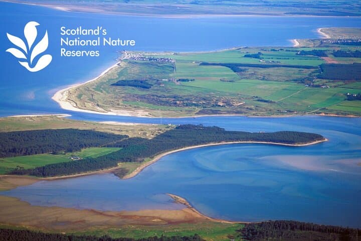 Private Scenic Drive from Invergordon to Dunrobin Castle – Salmon, Seals & Falconry photo 2