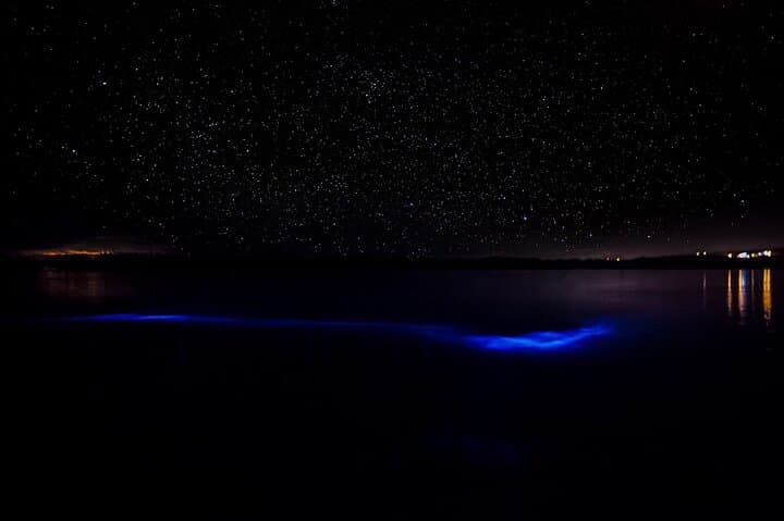 Luminous Lagoon Night Boat Tour — Bioluminescent Swim in Montego Bay photo 2
