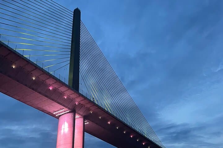 Private Sunset Cruise Under the Sunshine Skyway Bridge — Gulfport Dolphin & Bridge Lights Tour photo 3
