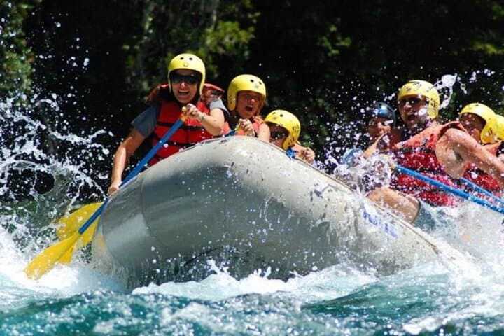 Mendoza River Rafting from Potrerillos: Full-Day Class II–III Adventure photo 4