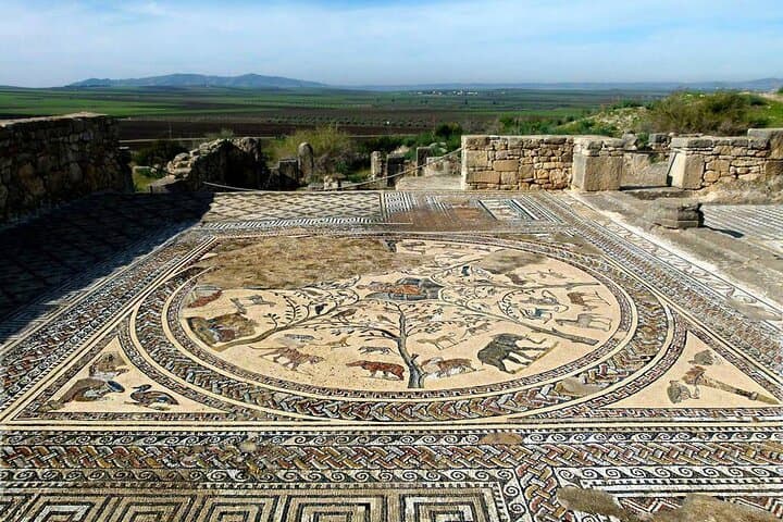 Fez to Volubilis, Moulay Idriss & Meknes: Private Day Trip from Fez photo 2