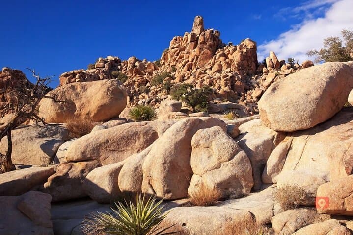 Self-Guided Joshua Tree Audio Driving Tour — Keys View, Cholla Garden & Arch Rock photo 5