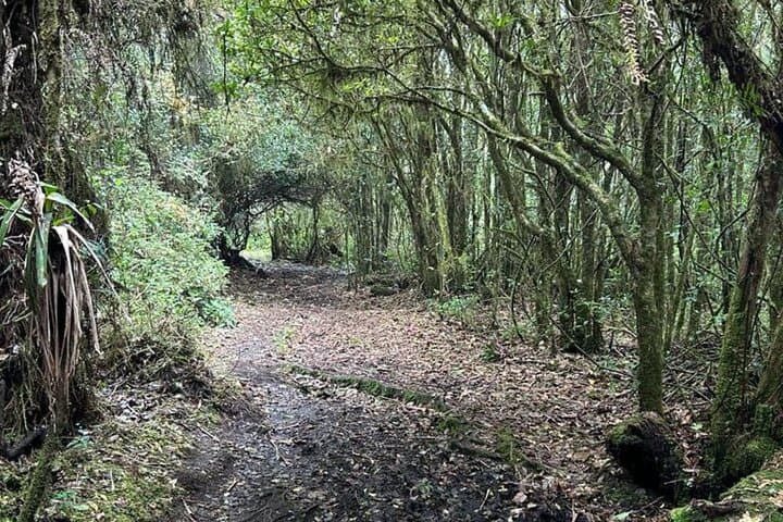 Poás Volcano Tour & Birdwatching — Day Trip from San José photo 3