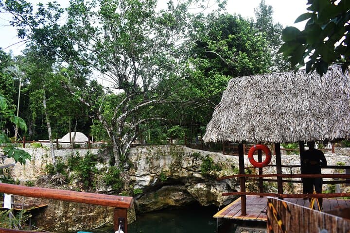 Three Cenotes Jungle Adventure and Tequila Tasting near Cancun photo 4