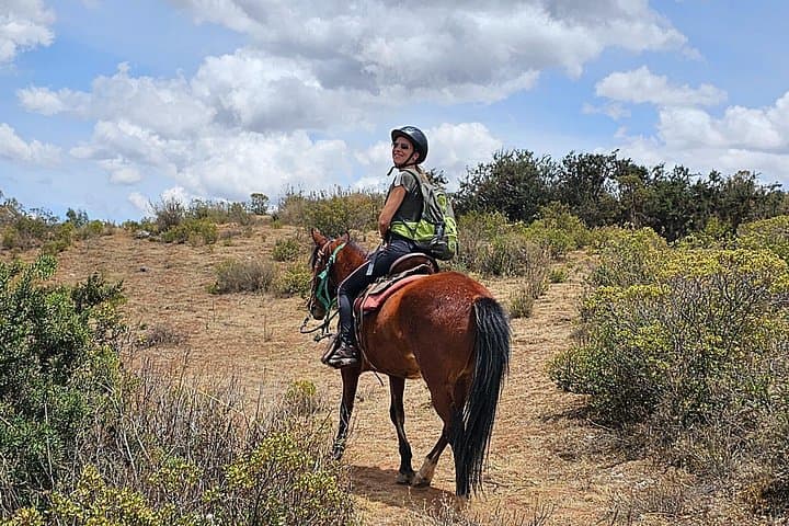 Horseback Riding at Huaypo Lagoon — 3-Hour Sacred Valley Ranch Ride photo 4