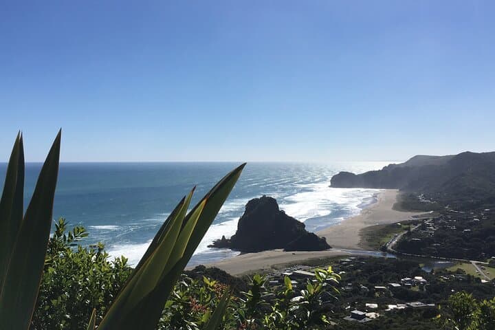 Auckland Wild Side: Piha, Karekare & Mount Eden Half-Day Tour