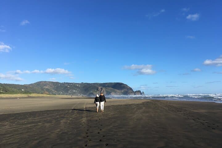 Auckland Wild Side: Piha, Karekare & Mount Eden Half-Day Tour photo 4