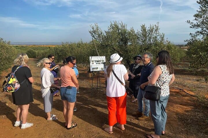 Private Olive Oil Mill Tour from Seville: Basilippo Hacienda Experience