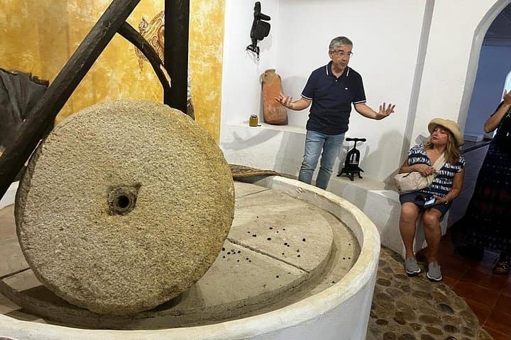 Private Olive Oil Mill Tour from Seville: Basilippo Hacienda Experience photo 2