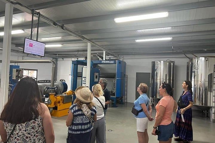 Private Olive Oil Mill Tour from Seville: Basilippo Hacienda Experience photo 3