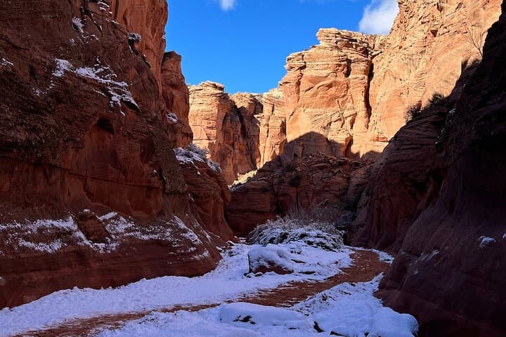 Full-Day Lower Antelope Canyon and Horseshoe Bend Tour from Las Vegas photo 2