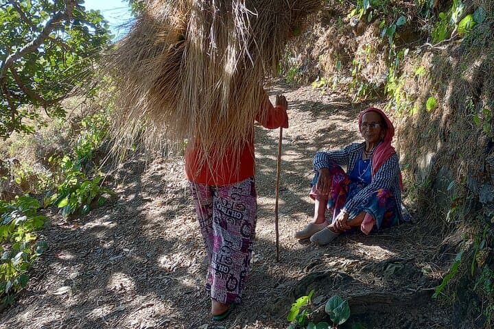 Kunjapuri Day Hike: Sunrise Temple Trek and Neer Waterfall from Rishikesh photo 3