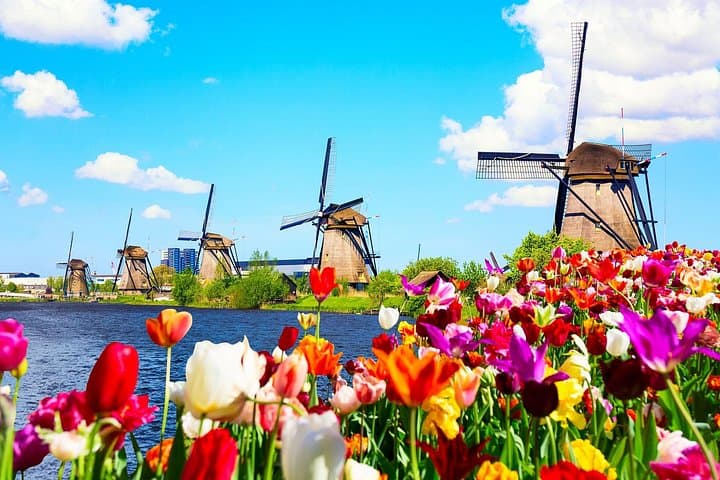 Kinderdijk Windmills: Private Full-Day Photography Tour from Rotterdam Port