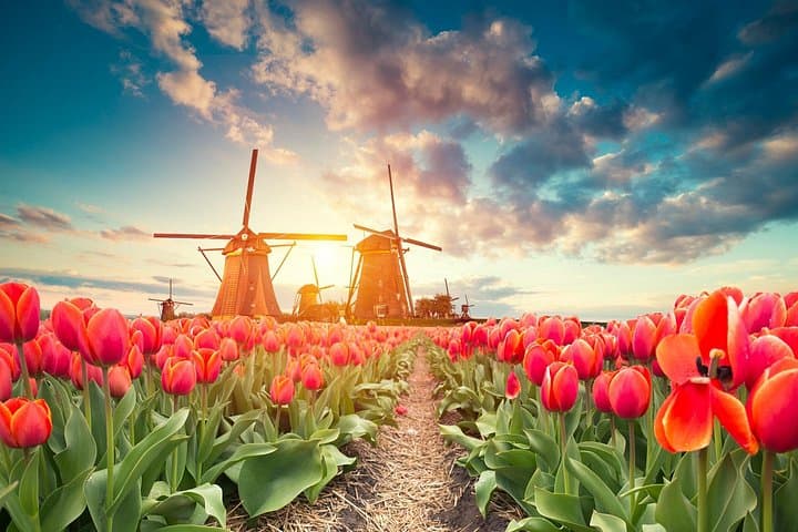 Kinderdijk Windmills: Private Full-Day Photography Tour from Rotterdam Port photo 5