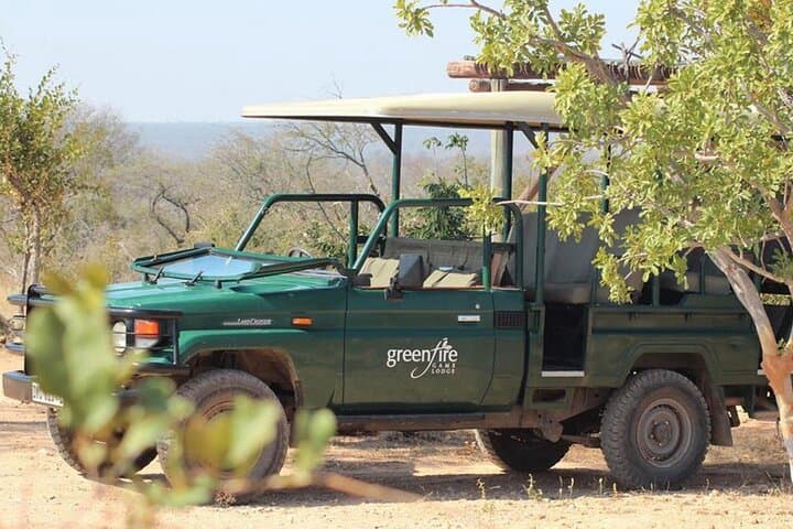 Greenfire Game Lodge: 3-Day Safari in Balule Private Game Reserve photo 2