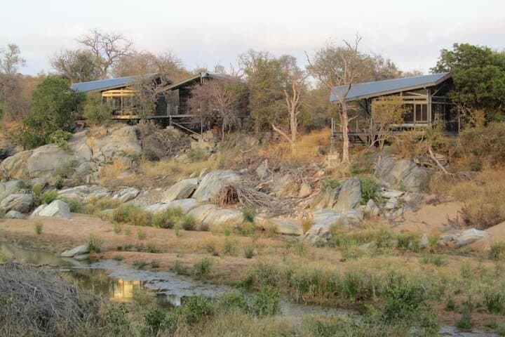 Greenfire Game Lodge: 3-Day Safari in Balule Private Game Reserve photo 3