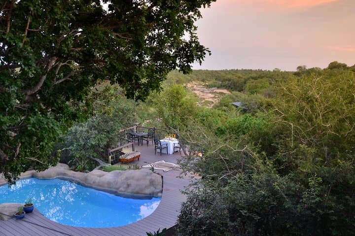 Greenfire Game Lodge: 3-Day Safari in Balule Private Game Reserve photo 6