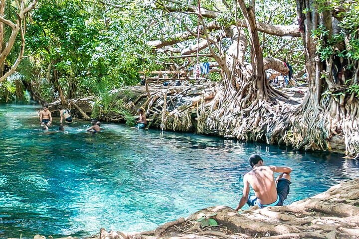 Chemka (Kikuletwa) Hot Springs & Serval Wildlife: Private Day Trip from Moshi photo 3