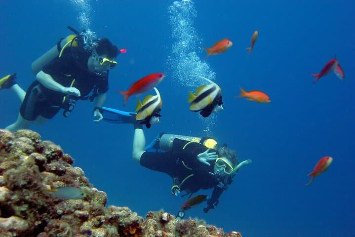 Paradise Island Full-Day Snorkel from Hurghada: Coral Reefs and Beach Time photo 4