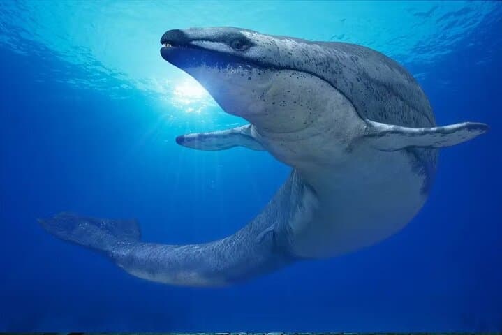 Hurghada Night Tour: Grand Aquarium Visit and Seaside Dinner photo 3