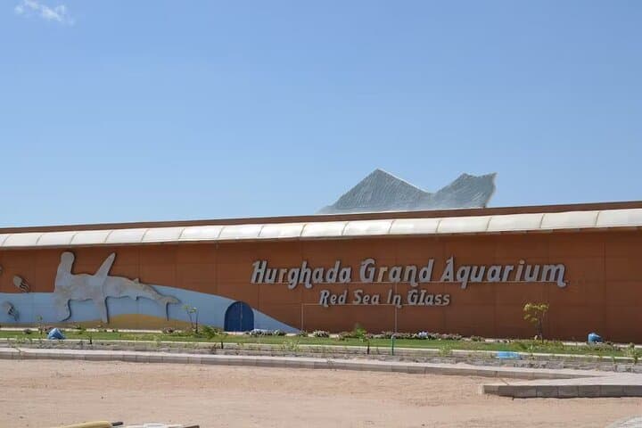 Hurghada Night Tour: Grand Aquarium Visit and Seaside Dinner photo 2