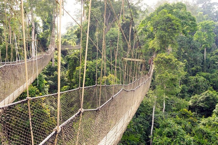 Cape Coast & Kakum Private Day Tour: Castle History and Canopy Walkway