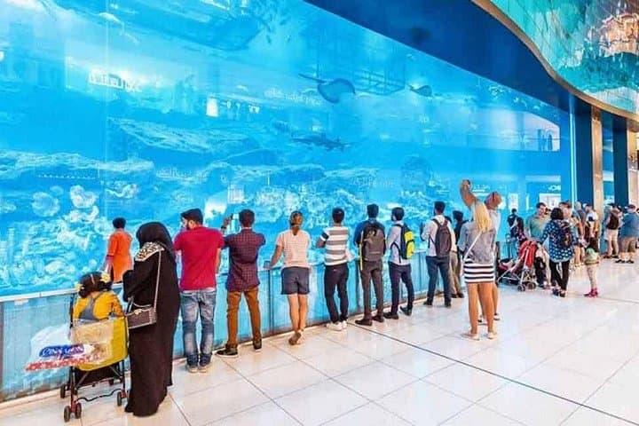 Burj Khalifa Observation Deck and Dubai Aquarium Underwater Zoo: Sky-High Views and Marine Encounters photo 3