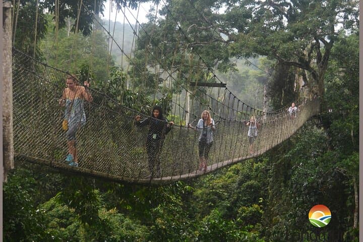 Cape Coast & Kakum Private Day Tour: Castle History and Canopy Walkway photo 4