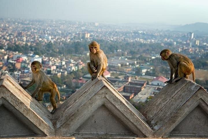 Kathmandu Day Tour: Chandragiri Cable Car & Swayambhunath (Monkey Temple) photo 2