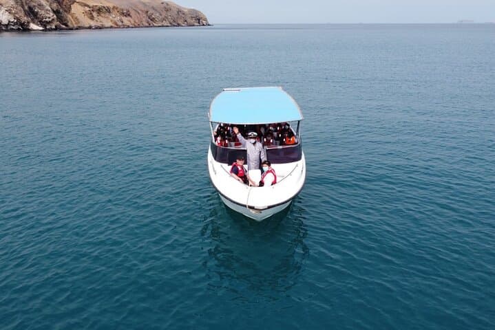 2-Day Paracas and Nazca Lines Tour — Ballestas Islands & Nazca Overflight photo 2