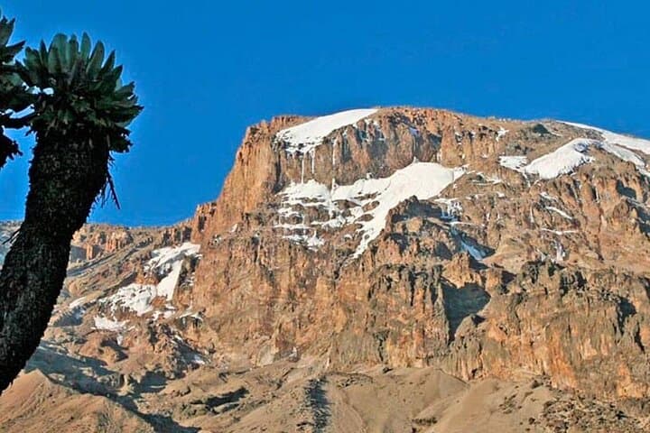 Conquer Kilimanjaro via the Machame Route: A 6-Day Ascent from Moshi photo 5