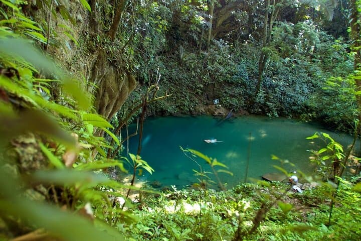 Half-Day Birding at Blue Hole National Park — St. Herman’s Blue Hole Tour