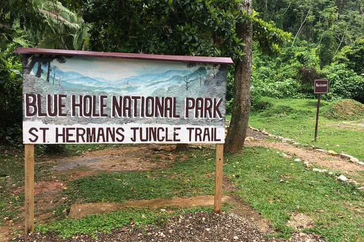 Half-Day Birding at Blue Hole National Park — St. Herman’s Blue Hole Tour photo 2