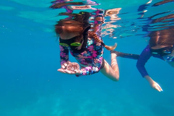Family Snorkeling in Aguadilla: Marine-Biologist-Led Reef Tours for Kids