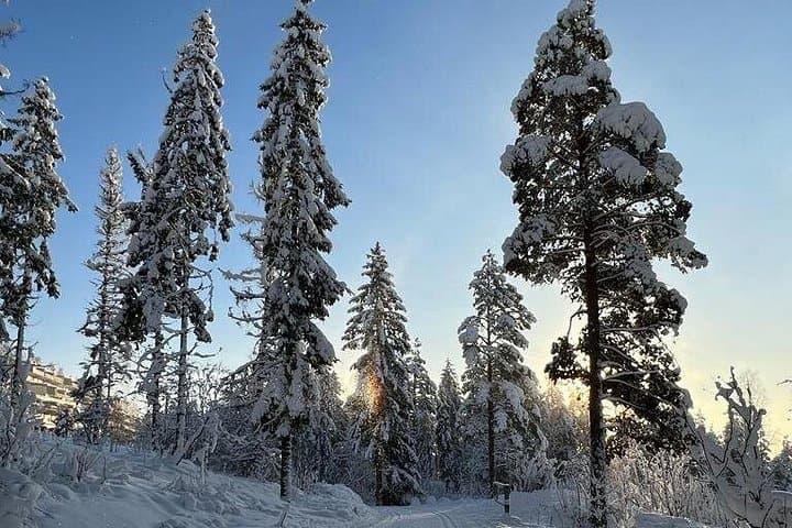 Top of Oslo Snowshoe Tour — Frognerseteren Winter Walk with Hot Chocolate