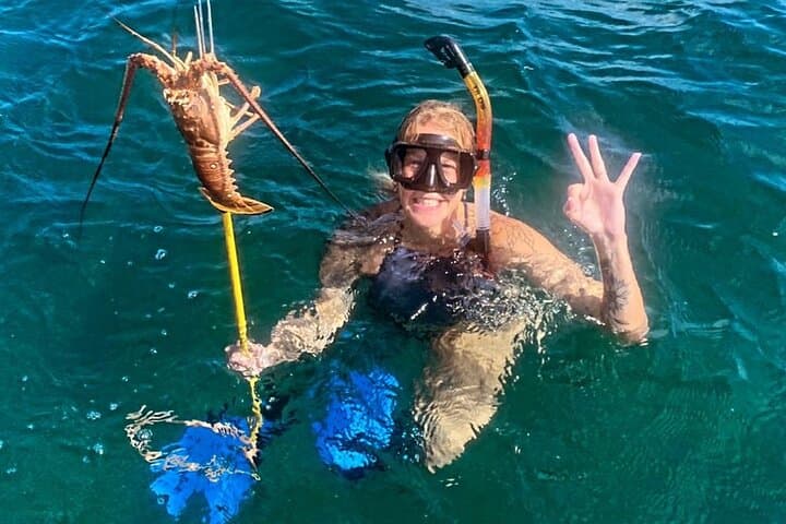 Full-Day San Pedro to Caye Caulker Hop-On Hop-Off Boat Tour — Snorkel Hol Chan & Shark Ray Alley
