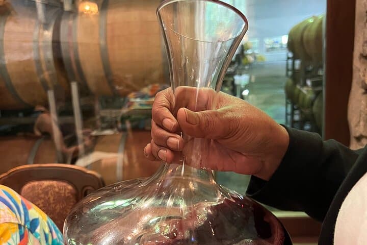 Half-Day Constantia Wine Tasting Tour: Groot Constantia, Steenberg & Constantia Glen photo 6