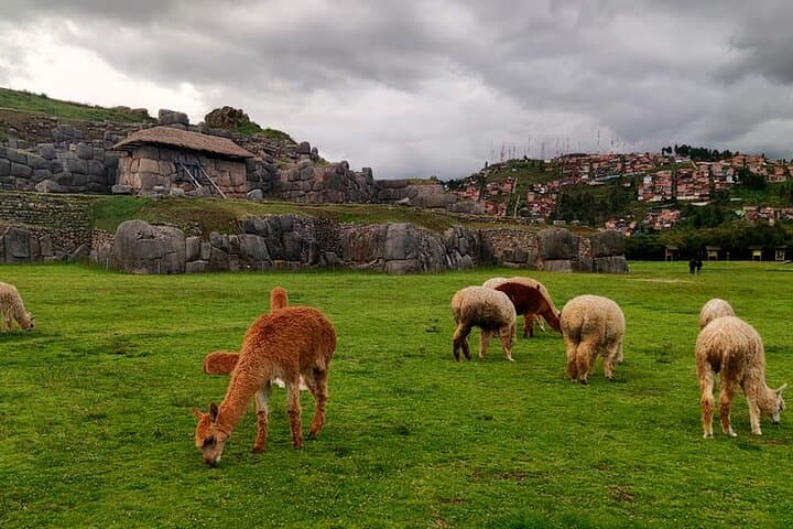 Cusco City Tour: Explore Qoricancha, Sacsayhuaman & San Blas in a Day photo 5