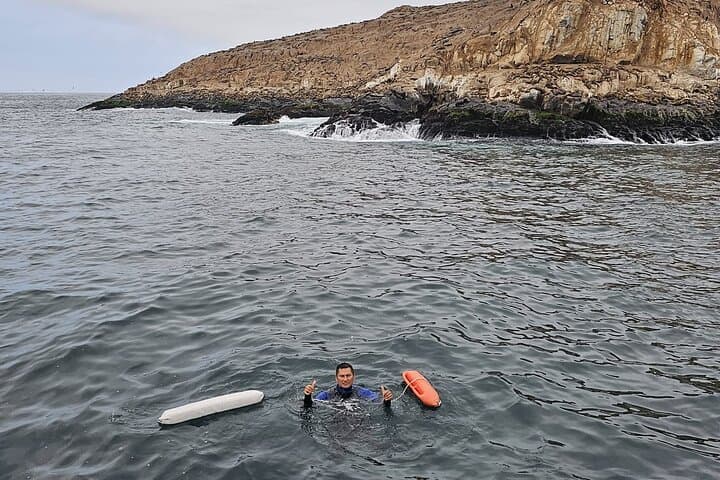 Swim with Sea Lions off Callao: Half-Day Boat Trip from Lima photo 5