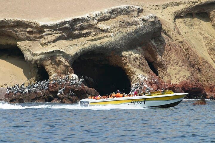 Day Trip from Lima: Ballestas Islands, Paracas and Huacachina Oasis photo 3