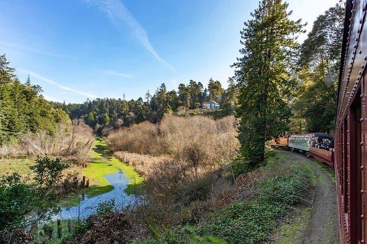 Skunk Train to Wolf Tree Turn — Willits Scenic Rail Ride Through Redwoods photo 5