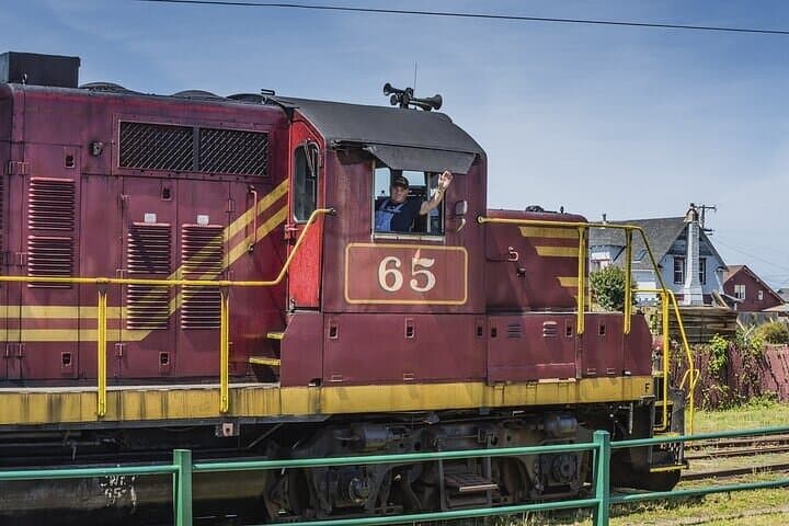 Skunk Train to Wolf Tree Turn — Willits Scenic Rail Ride Through Redwoods photo 6
