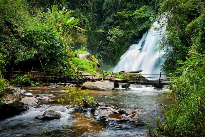 Doi Inthanon Day Hike: 2-Hour Trek, Waterfalls & Royal Pagodas from Chiang Mai photo 4