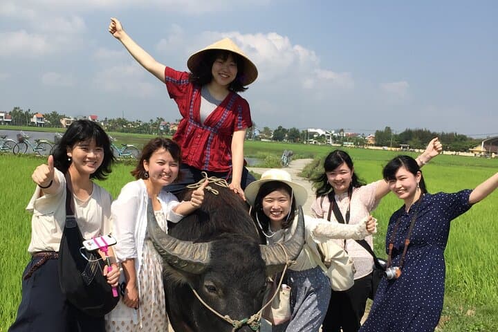 Hoi An Countryside Cycling and Basket Boat Tour from Da Nang